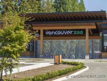 Jenga the giraffe has died at Greater Vancouver Zoo