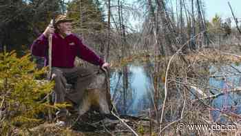 'He had a lot of horsepower': Former Dauphin-area MP Robert Sopuck dead at 73