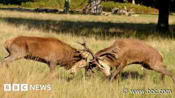 Global guide puts East Anglia on 'must see' list