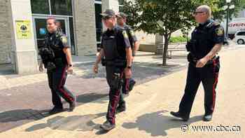 Anti-theft initiative in Winnipeg expanded again, will run through holiday season
