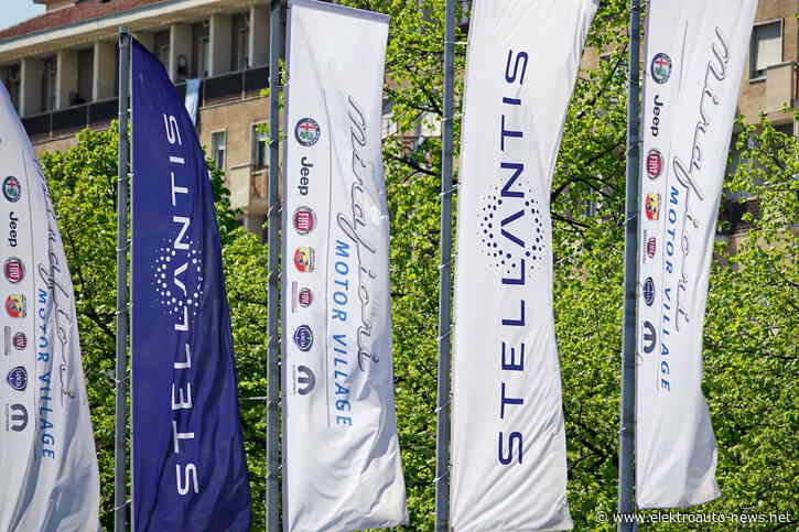 Stellantis ruft weltweit 44.000 Plug-in-Hybride zurück