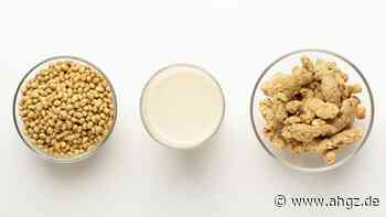 Alternative Proteine: Wo Plant-based besonders stark wächst