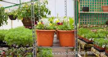 London's oldest garden centre with 'top notch plants' among the best in the UK