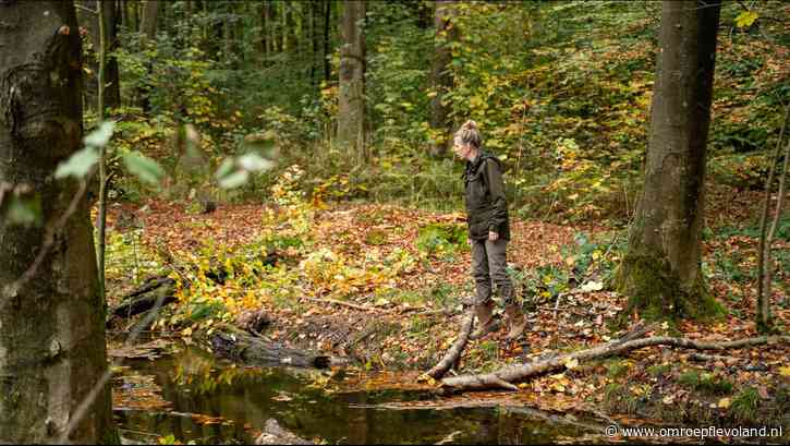 Marknesse - Voorsterbos op de schop: water moet er langer vastgehouden worden