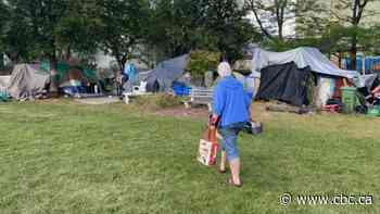 Hamilton council bans encampments in 7 parks nearest new shelter beds