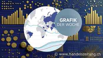 Die Brics: Nicht viel mehr als ein potenter Wirtschaftsblock