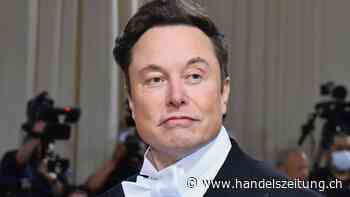 Musk ist seit zwei Jahren regelmässig in Kontakt mit Putin