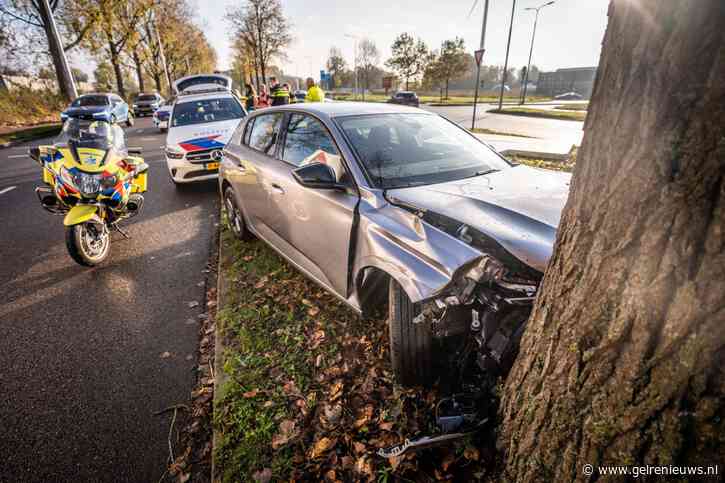 Automobilist gewond na botsing met bestelbus en boom