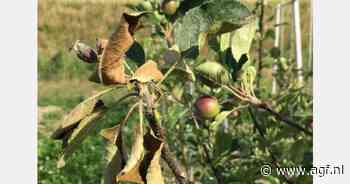 "Bacterievuur vraagt de komende jaren extra focus"
