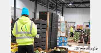 "Noren kopen meer basisproducten, zoals uien, wortelen en kool"