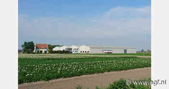 "Momenteel gaan er veel uien weg, maar ik vrees voor het voorjaar"