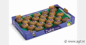 600 ton Dulcis kiwi geoogst, verkoop start op 4 november