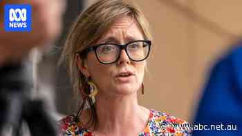 Leaked Northern Territory government paper proposes 'unprecedented' power to sidestep environmental laws