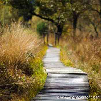 Wandeling voor Hoogsensitieve Personen (HSP)