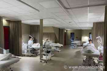 Aantal leerlingen groeit sterk: Heilig Graf bouwt schrijnwerkerij om tot schoonheidssalon