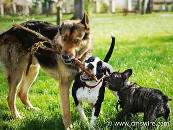 Create a Customer-Centric Culture Through Engaged, Empowered Teams