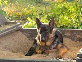 What's Behind Google's Privacy Sandbox Update?