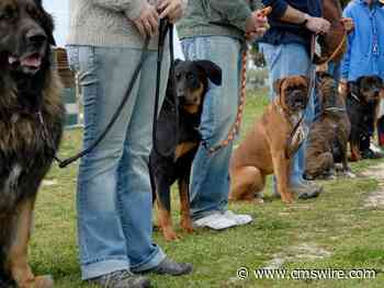 Is Your Marketing Organization Generative AI-Ready?