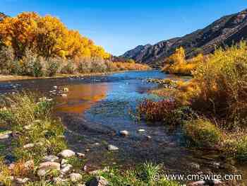 Can Sitecore Stream Orchestrate AI-Powered Marketing Success?