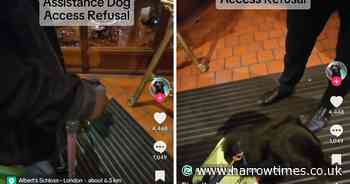 Viral TikTok shows assistance dog refused access to part of popular London venue