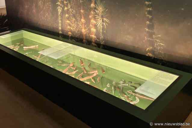 Bodemvondsten Jos Grimon nu opgenomen in prestigieuze expo over de bronstijd in Rijksmuseum Leiden