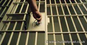 Have your say - should some criminals be able to serve prison sentences at home?