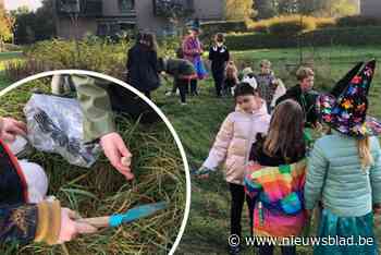 2.250 bloembollen gaan de grond in, met de hulp van 345 schoolkinderen: “Uitkijken naar de bloei in de lente”