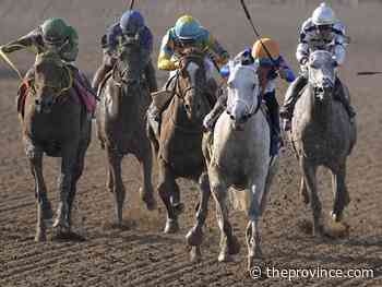 Early November sees the two biggest days of horse racing in North America