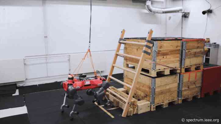 Video Friday: Quadruped Ladder Climbing