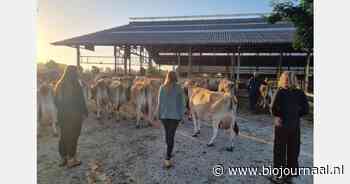 BD Jong organiseert meet-up en bedrijfsbezoek Zonnegaard: 9 november