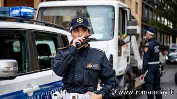 Gattino incastrato nel parafango dell'auto: i vigili lo salvano