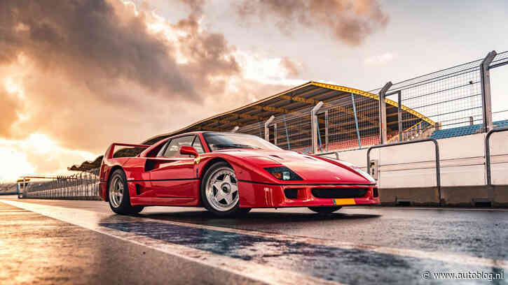 Kies maar: welke foto moet er op de cover van onze nieuwe kalender?