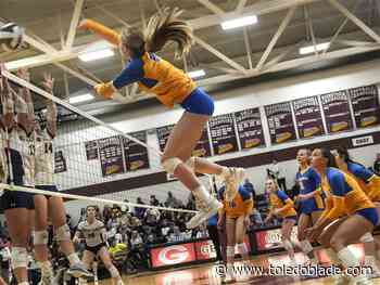 Photo gallery: Best pictures for week ending Oct. 24