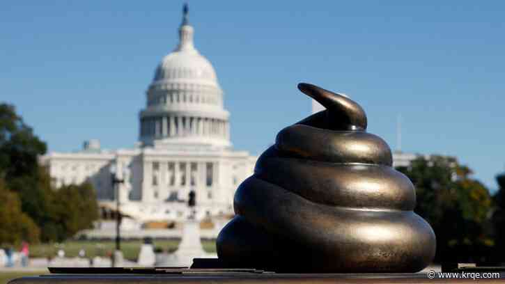 Turd-shaped monument 'honoring' Jan. 6 mob installed on National Mall