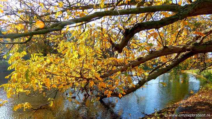 Twintig graden in Brabant, de warmste 25 oktober ooit gemeten