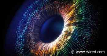 A Neuralink Rival Says Its Eye Implant Restored Vision in Blind People