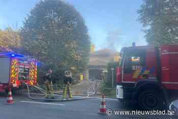 Woning onbewoonbaar na felle brand in de living