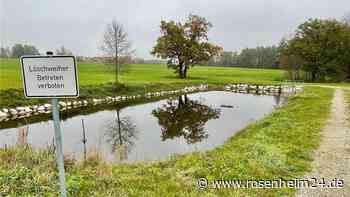Streit um Einzäunung eines Löschweihers: Das sorgt in Bruckmühl für Kopfschütteln