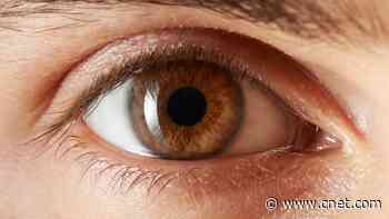 Top 6 Vitamins and Supplements to Try to Support Your Eye Health