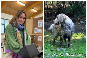 N-VA voelt zich buiten spel gezet nu kartel CD&V-Open VLD in zee gaat met Tesamen: “Vivaldi maakt ook hier zijn intrede”