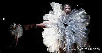 Review: Porcupines of Plastic and Other Provocations