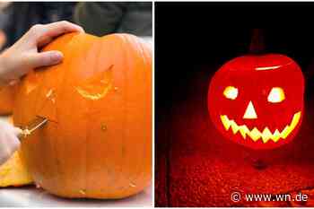 Kürbisschnitzen: Die besten Tipps für Ihr Halloween-Meisterwerk