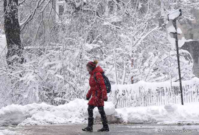 New tool to study how climate change has shifted the odds of extreme cold weather