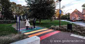 Groep tieners wil schoenen van 13-jarige jongen en mishandelen hem in parkje bij station Zevenaar