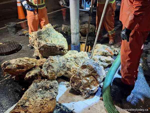 50 tonnes of ‘fatbergs’ removed from Richmond, B.C., sewers, Metro Vancouver says