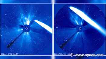 See Comet Tsuchinshan-ATLAS eject a tail of gas and dust as it flies past the sun (photos)