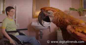 3 underrated (HBO) Max movies you should watch this weekend (October 25-27)