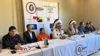 'Funding crisis' for Jordan's Principle jeopardizes Manitoba First Nations children's lives: chief