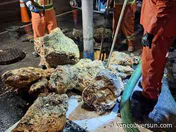 Fatbergs the sequel: 50 more tonnes of fat removed from clogged Richmond sewers
