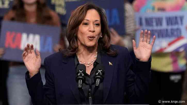 Houston Chronicle endorses Harris ahead of rally as Post demurs